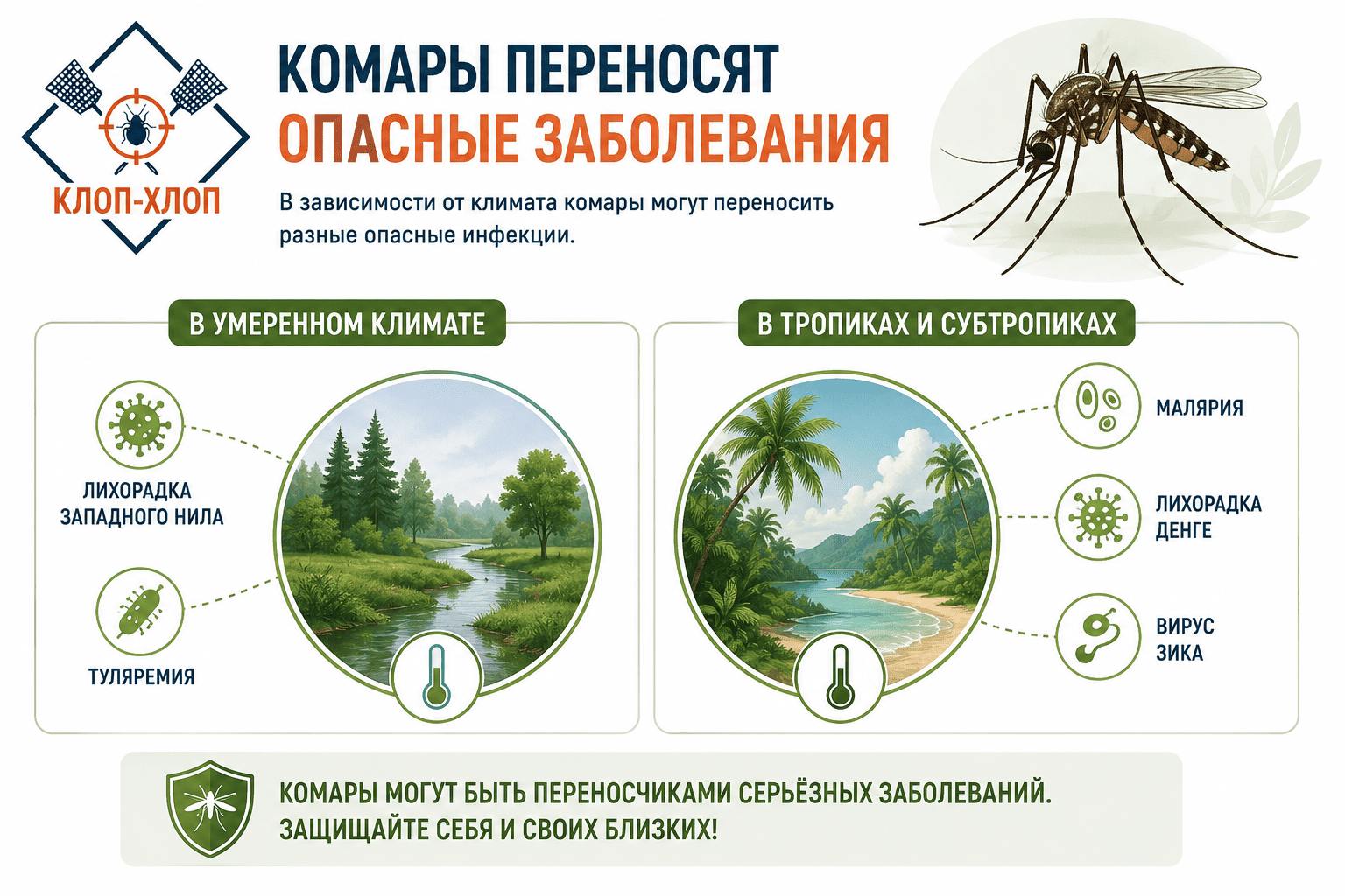 Какие заболевания переносят комары в разных регионах